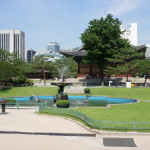 SONY DSC